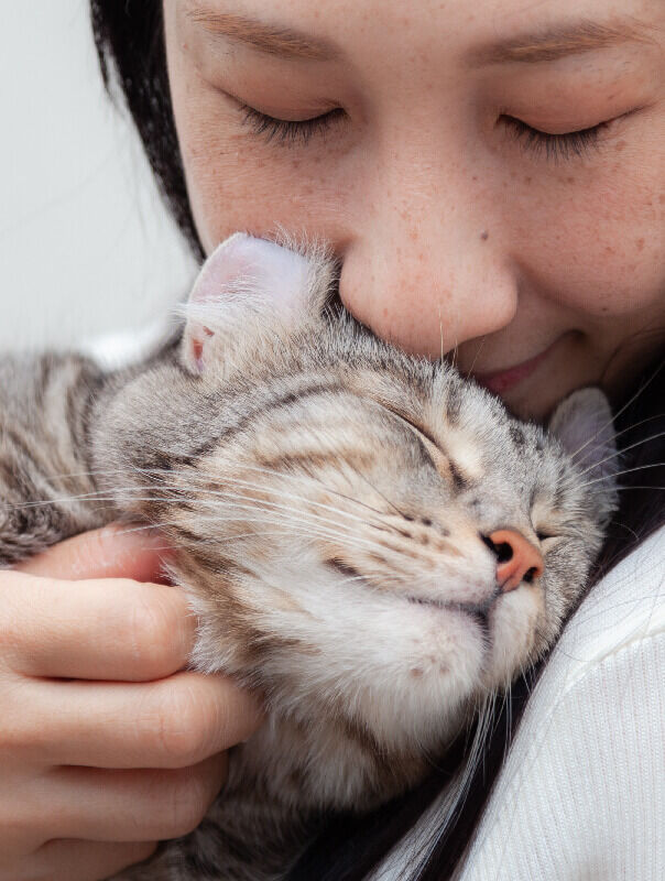 person hugging their cat